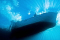   Image taken nikon D700 inside aquatica housing  